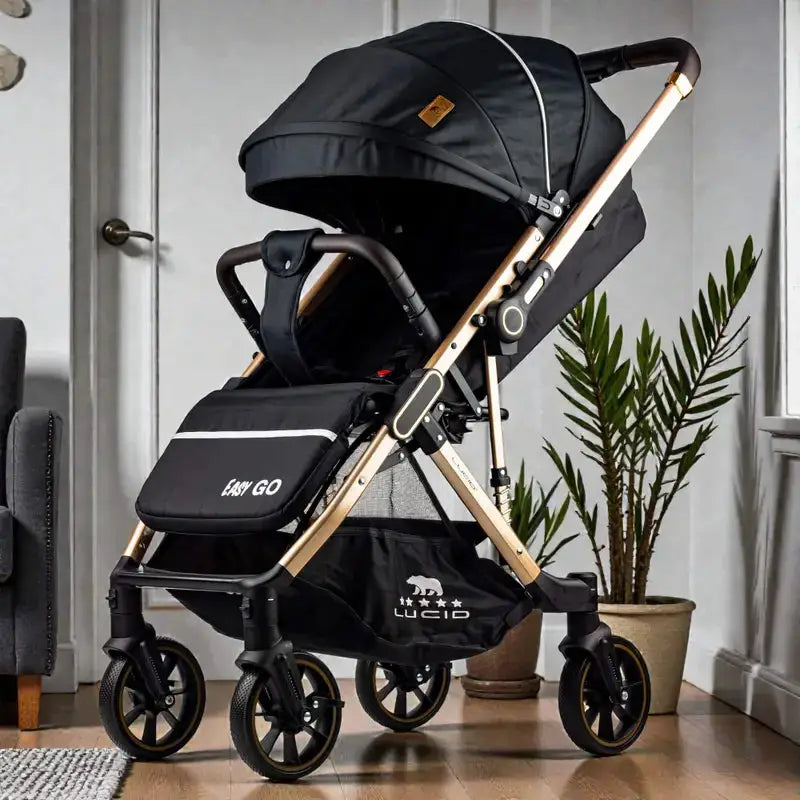 Lucid Easy Go LC2: Black stroller with canopy and lower basket shown indoors